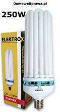 ELEKTROX CFL 250W Flower