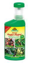 SPRUZIT Atempo Copper Fungicide 250ml