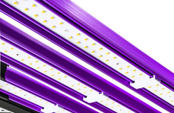 ATTIS 300 W Pro LED full spectrum (100x100)