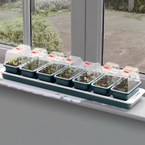 Propagator Garland podgrzewany na 7 mini tacek 76×18,5×15 cm