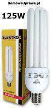 ELEKTROX CFL 125W Flower