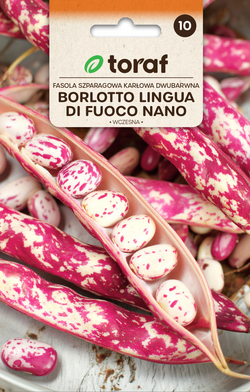 Fasola szparagowa karłowa dwubarwna Borlotto Lingua di Fuoco Nano - nasiona Toraf