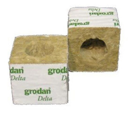 GRODAN kostki z wełny 75x75x65mm