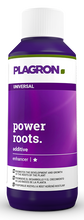 Plagron Power Roots 100ml - stymulator korzeni